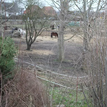 Child Friendly In B Rgerende Rethwisch *