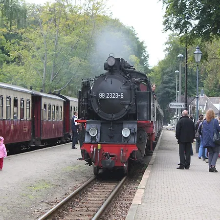 Gemuetlicher Bungalow In Boergerende-Rethwisch Mit Sauna *
